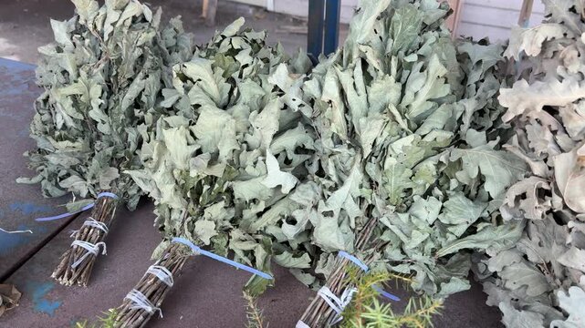 Oak brooms on market counter, handmade bath bundles for sauna, dried oak branches tied into large rustic brooms, artisan stall