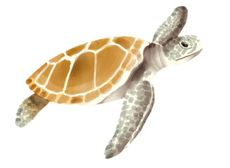 Brown Sea Turtle Swimming Watercolor Illustration for Marine Ocean Aquatic Animal Clipart Bundle © grabit drawings