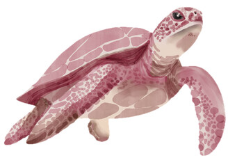 Pink Sea Turtle Swimming Watercolor Illustration for Marine Ocean Aquatic Animal Clipart Bundle © grabit drawings