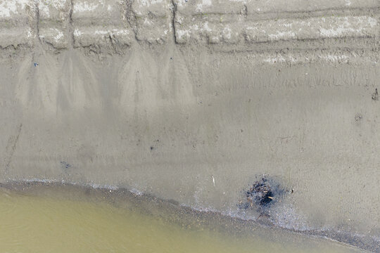 Aerial View of Fraser River Mudflat and Riverbank on the Fraser River in British Columbia Canada
