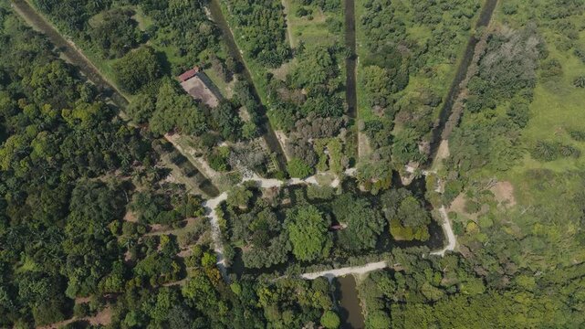 Aerial view tropical forest canals