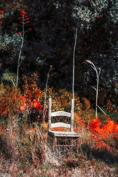 Weathered wooden chair standing alone in wild garden grass with red autumn foliage, tall stems, moody forest background, soft sunlight, and rustic solitude atmosphere