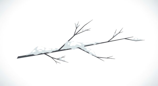 Snow-covered branch against a white background.