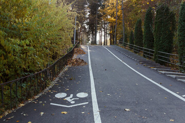 Obraz premium A winding pathway through a park surrounded by autumn foliage. White dividing lines for cyclists and pedestrians are drawn on the road