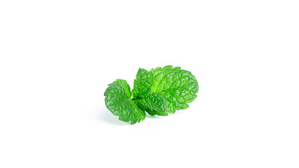 Fresh mint leaves on a white background. © Рудой Максим