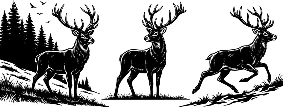 Deer Silhouette Collection with Forest Landscape Wild Stag Animals in Nature Black and White Vintage Style Vector Illustration Set