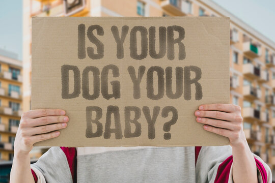 "Is Your Dog Your Baby?" The humanization of pets raises questions about modern companionship. DOG. HUMANIZE. COMPANION. MODERN. BOND.