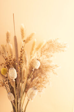 Beautiful dried flower bouquet with pampas grass on cream background.