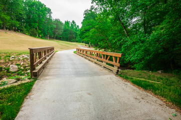 Fototapeta premium A bridge between every shot you take, The Château Élan Golf Club, Braselton, Georgia, United States of America