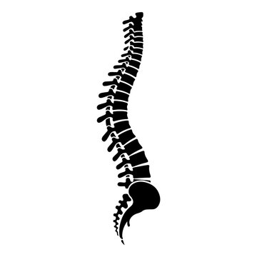 Human Spine Silhouette Vector Illustration.