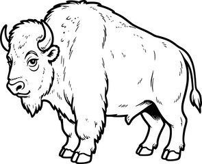 Obraz premium bison vector illustration