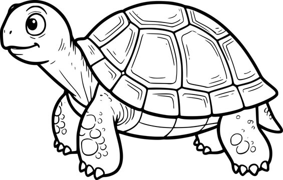 turtle vector illustration