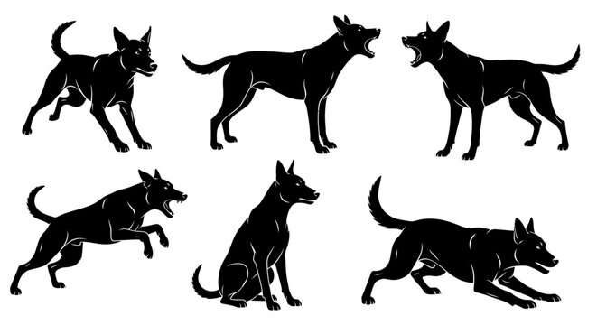 Set of Black Silhouettes of Aggressive and Alert Dogs in Various Poses