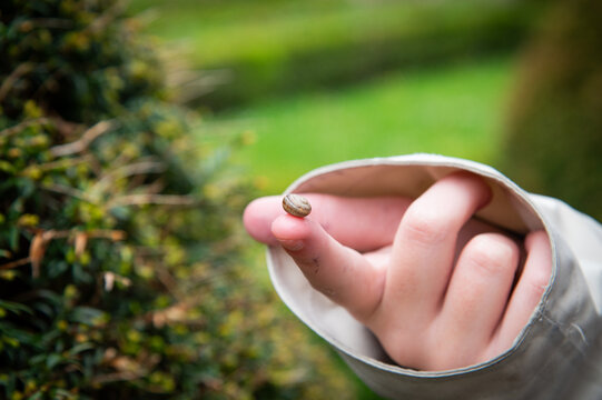 hand holding a snail