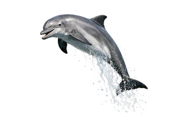 Obraz premium dolphin leaping from ocean waves in black and white high contrast monochrome
