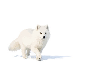 Obraz premium arctic fox walking in snowy winter landscape with soft lighting