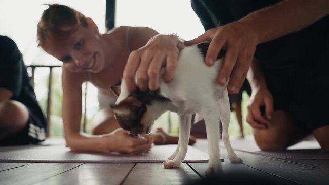 People petting a cute puppy during a yoga class