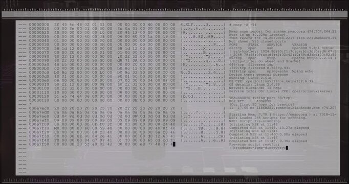 Fade-in terminal overlay scrolling hex dump and ASCII while showing nmap scan listing services