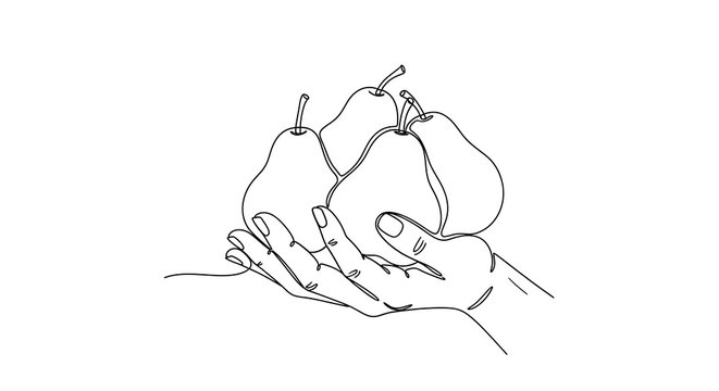 Hand holding three ripe pears.