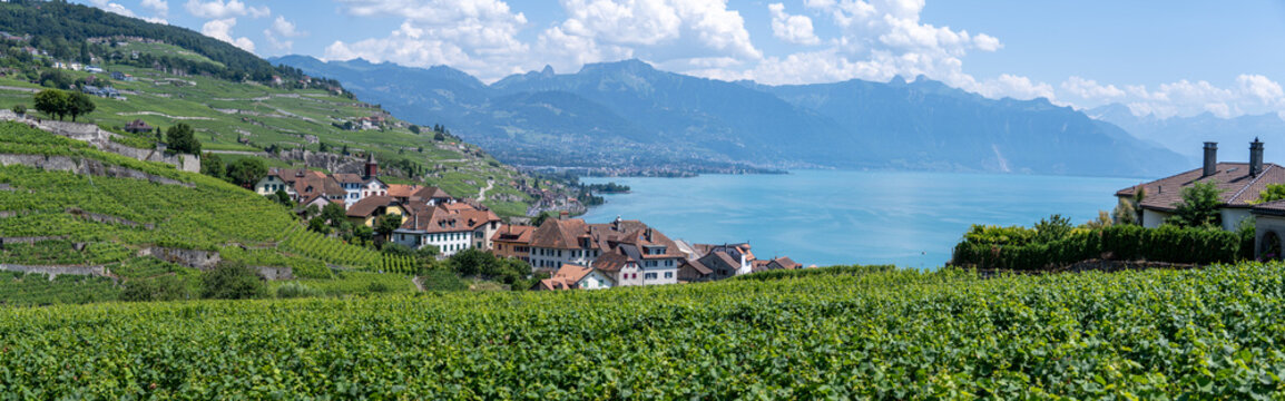 Panoramic Lavaux vineyards and Lake Geneva shoreline