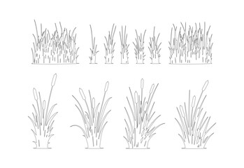 Minimalist line art grass and cattail vector set, hand drawn botanical reed illustrations, black and white marsh plant silhouettes for landscape design © Faisal