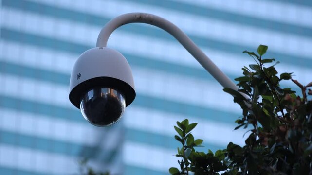 Security Camera Hangs Over Tree With Building Background