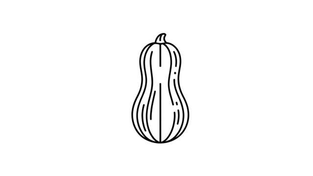 Simple black and white illustration of a butternut squash vegetable Vector
