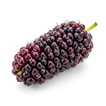 Closeup of a ripe mulberry fruit showcasing its vibrant colors and texture 2.