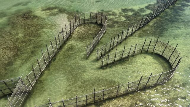 Fish trap fishing is a traditional artisanal technique in which fixed structures take advantage of the movement of the tides to catch fish - Ipioca Beach, Macei&oacute;, Alagoas, Brazil - 