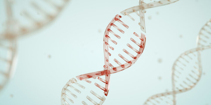 Gain-of-function research. A section of DNA is breaking apart. CRISPR-Cas9. Genetic medicine. Photo stock