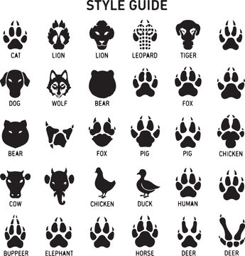 Animals footprints, paw prints. Set of different animals and birds footprints and traces. Cat, lion, tiger, bear, dog, cow, pig, chicken, elephant, horse etc