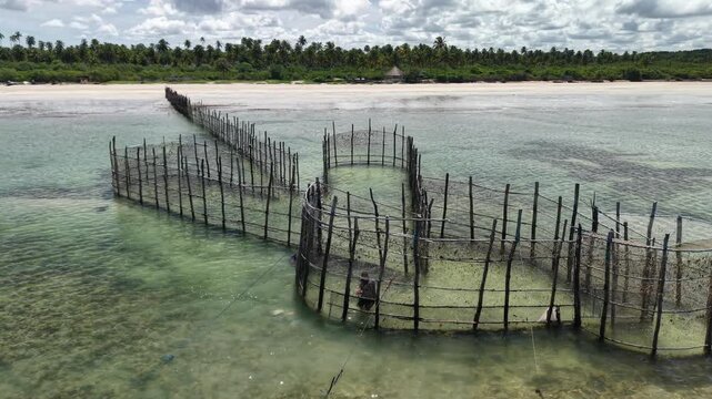 Fish trap fishing is a traditional artisanal technique in which fixed structures take advantage of the movement of the tides to catch fish - Ipioca Beach, Macei&oacute;, Alagoas, Brazil - 
