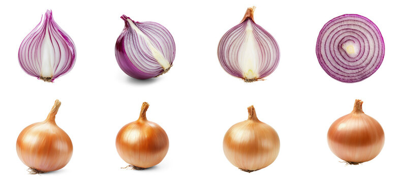 Collection of onion with the outer layers peeled away, showing its fresh layers. full length isolate on transparent background