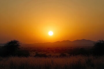 Obraz premium golden sunset over grassy plain with silhouetted trees and distant hills, warm serene glow and tranquil evening atmosphere