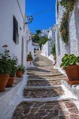 Obraz premium Sunlit stone steps winding up a narrow lane between whitewashed buildings lined with terracotta potted plants under a bright blue sky, peaceful and inviting