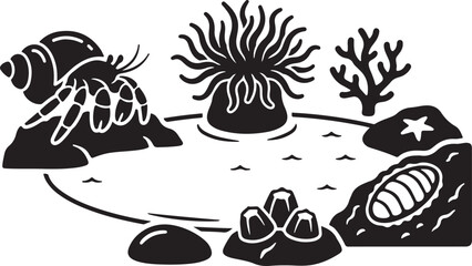 Fototapeta premium Black and white of a tide pool ecosystem featuring a hermit crab, sea anemone, coral branch, starfish, and barnacles on rocky surfaces