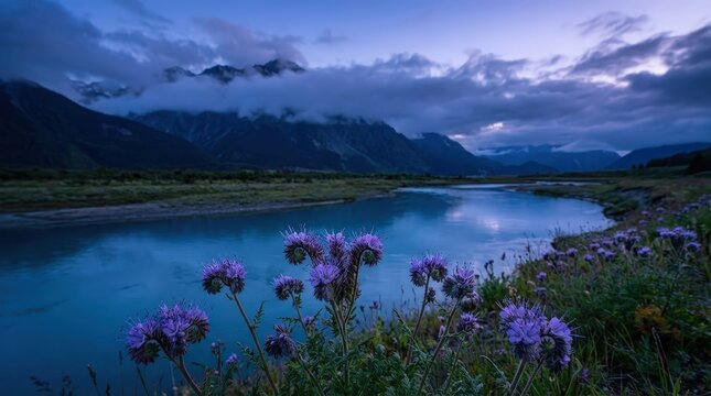 alpine phacelia purple flowers by serene mountain lake at dusk