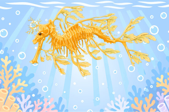 The leafy sea dragon, a close relative of the seahorse, is a master of disguise. Covered in leaf-like appendages that mimic seaweed.