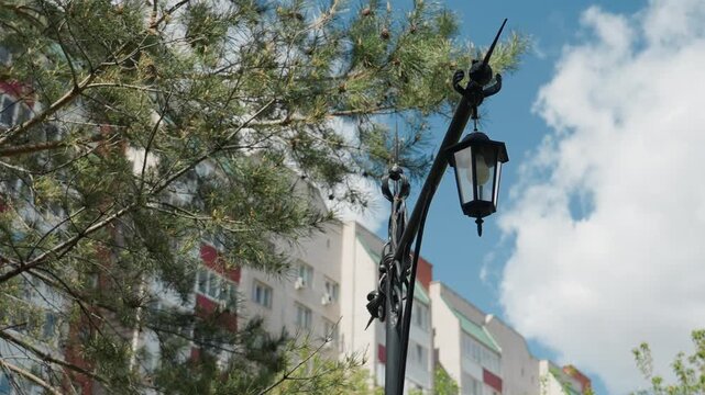 Urban lamp framed by leafy trees, vintage iron arm and lantern against bright sky implied gardener pauses nearby, apartment blocks in background, gentle breeze moves branches, tranquil residential
