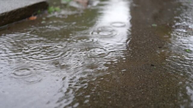 rain drops on the puddle