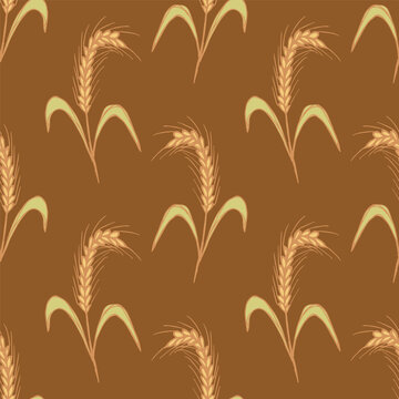 Seamless pattern with hand drawn cereal wheat oat rye barley rice ears spikelet Organic healthy food For decorative print, fabric, package, background