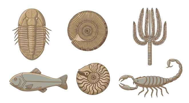 Vintage illustration of various prehistoric fossils and creatures