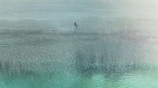 Serene Beach Aerial Lone Person Walking Along Shore with Gentle Ocean Waves. Tranquil Scene Captures Natures Beauty