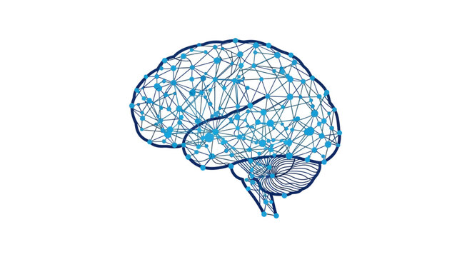 Human Brain Anatomy Medical Illustration.