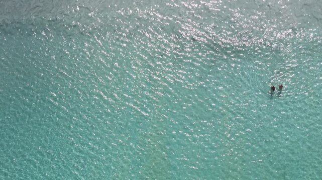 Aerial View of People Swimming in Clear Turquoise Sea Water Creating Serene and Peaceful Atmosphere with Refreshing Ocean Vibes
