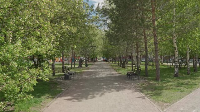Urban park walkway lined with trees. Sundappled gravel path with benches along sides, mild breeze moving leaves, casual strollers and commuters passing, occasional jogger and cyclist, distant colorful