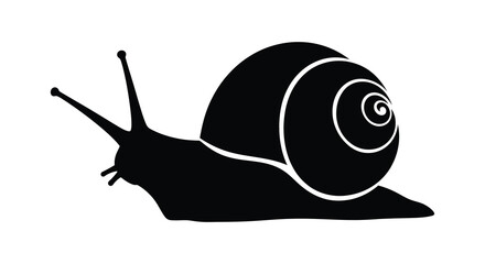 Black snail silhouette with white outline on a white background silhouette high quality © MdKabir