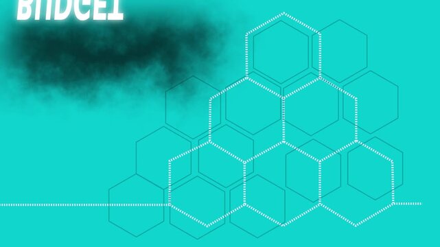 Business budget planning concept with hexagonal infographic