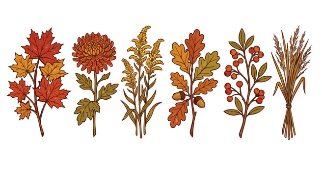 Autumn botanical illustration with various fall leaves and plants