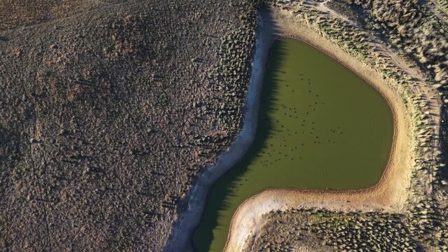 Aerial Views of Rural Australia &ndash; Outback, Canowindra NSW